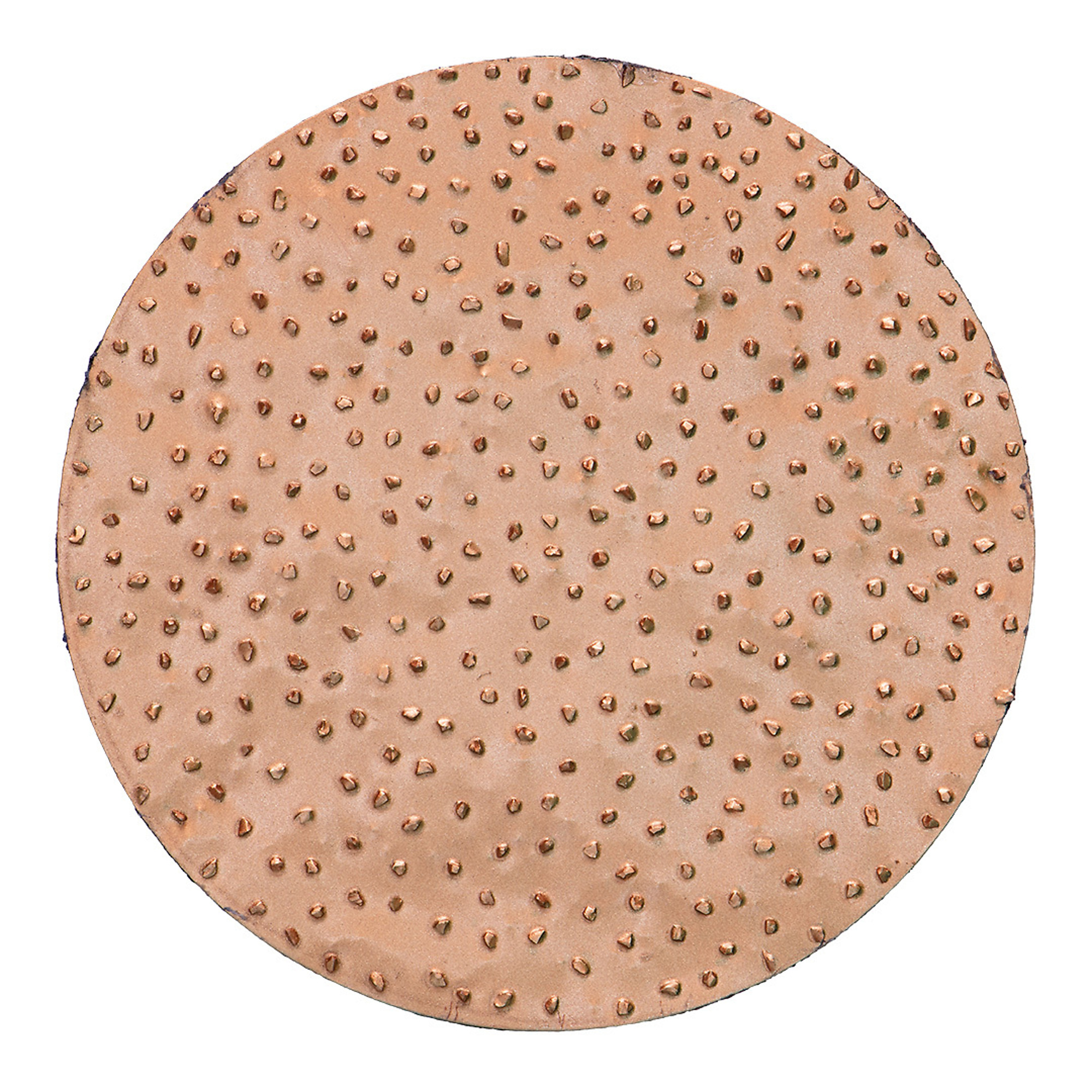Rokamat Hard Metal Rasping Disc — 7.87in. Diameter, Medium Grit, Compatible with Chameleon Tool, Model# RKT23205